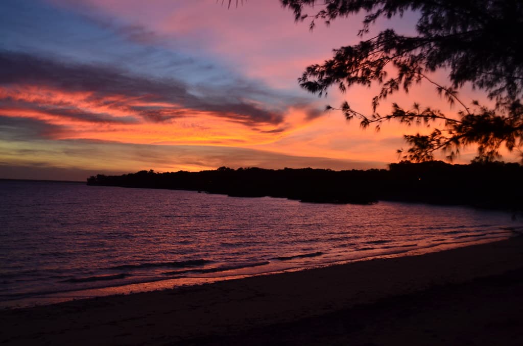 Darwin Nightlife: The Best Bars & Live Music
