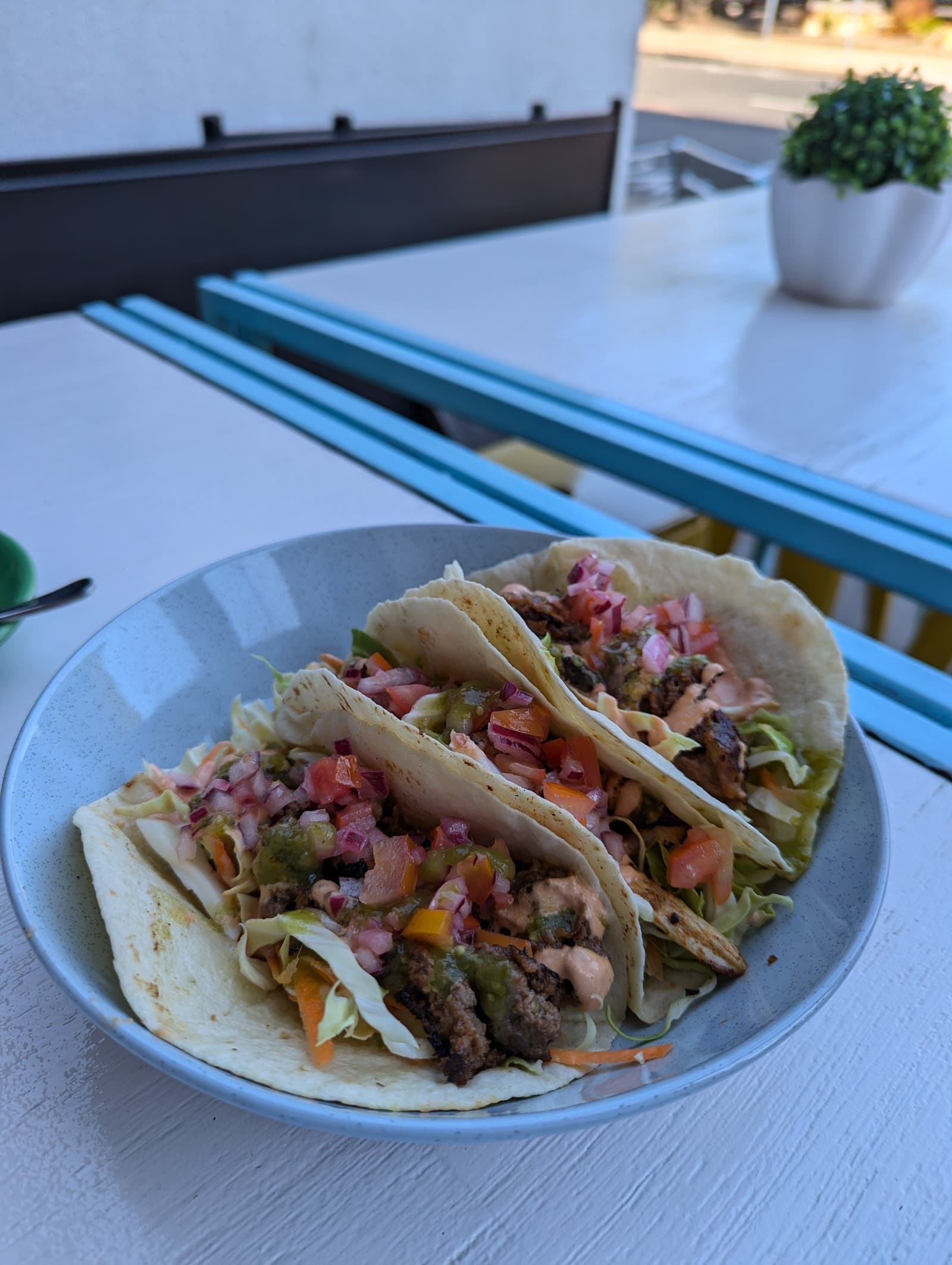 Little Sister — Darwin CBD, Darwin
