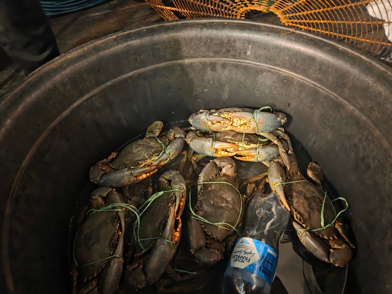 Cathy’s Place — Cullen Bay, Darwin