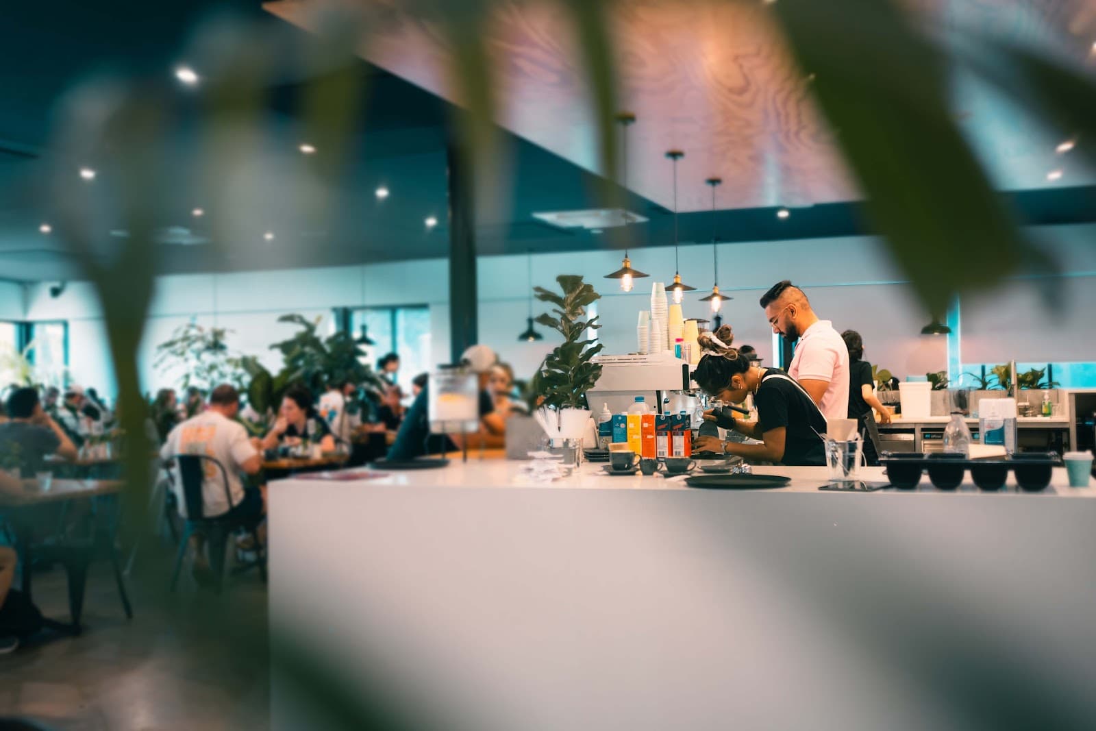 Fresh Point Cafe. Nightcliff — Nightcliff, Darwin