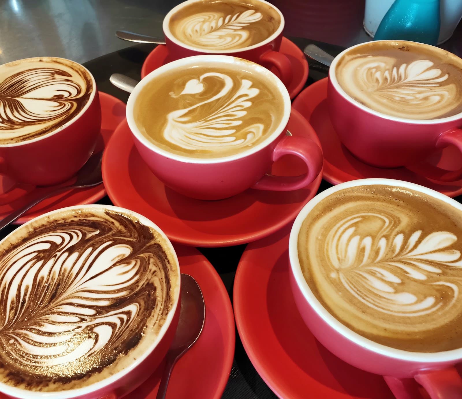 Dtown Coffee Roasters warehouse and Cafe — Nightcliff, Darwin
