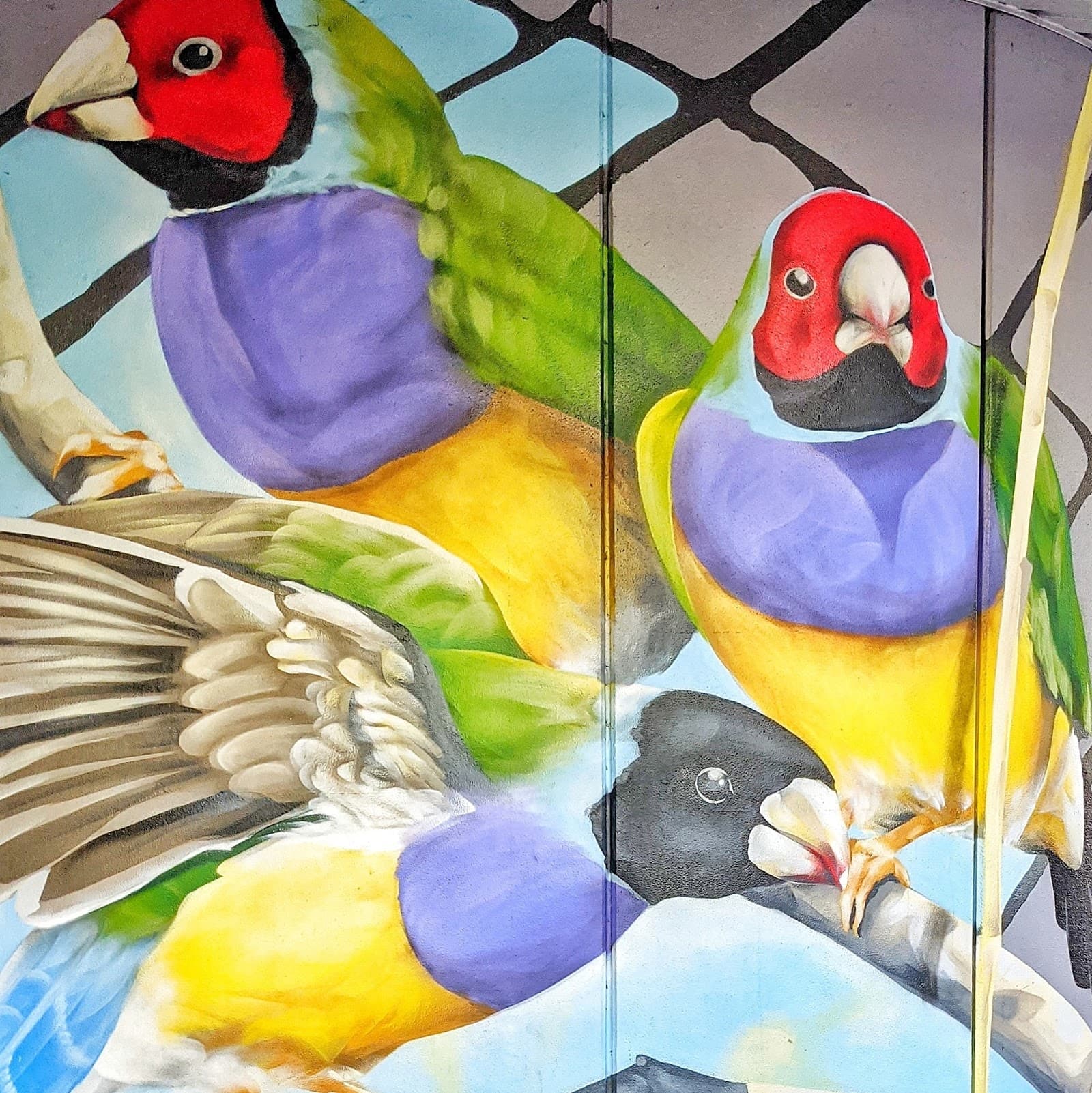 Hanky Panky Lounge — Darwin CBD, Darwin