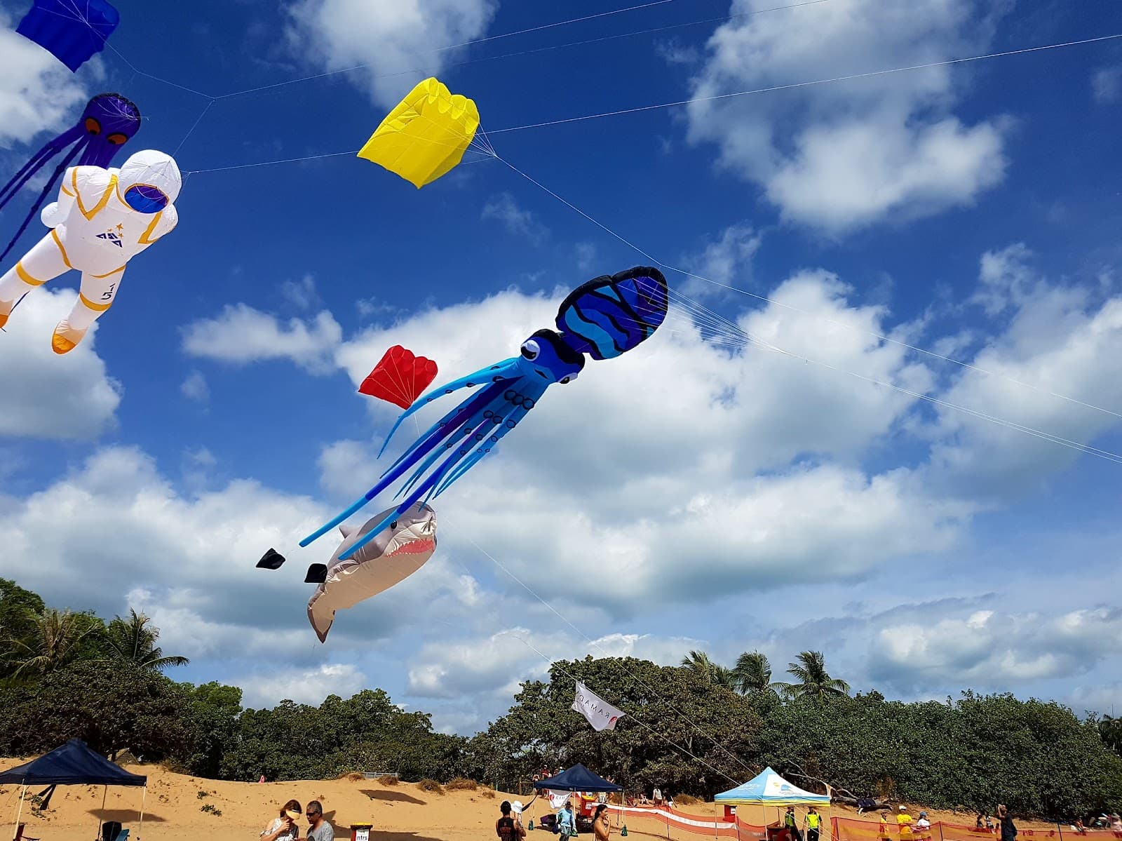 Darwin Lions Beer Can Regatta Assoc Inc. — Mindil Beach, Darwin