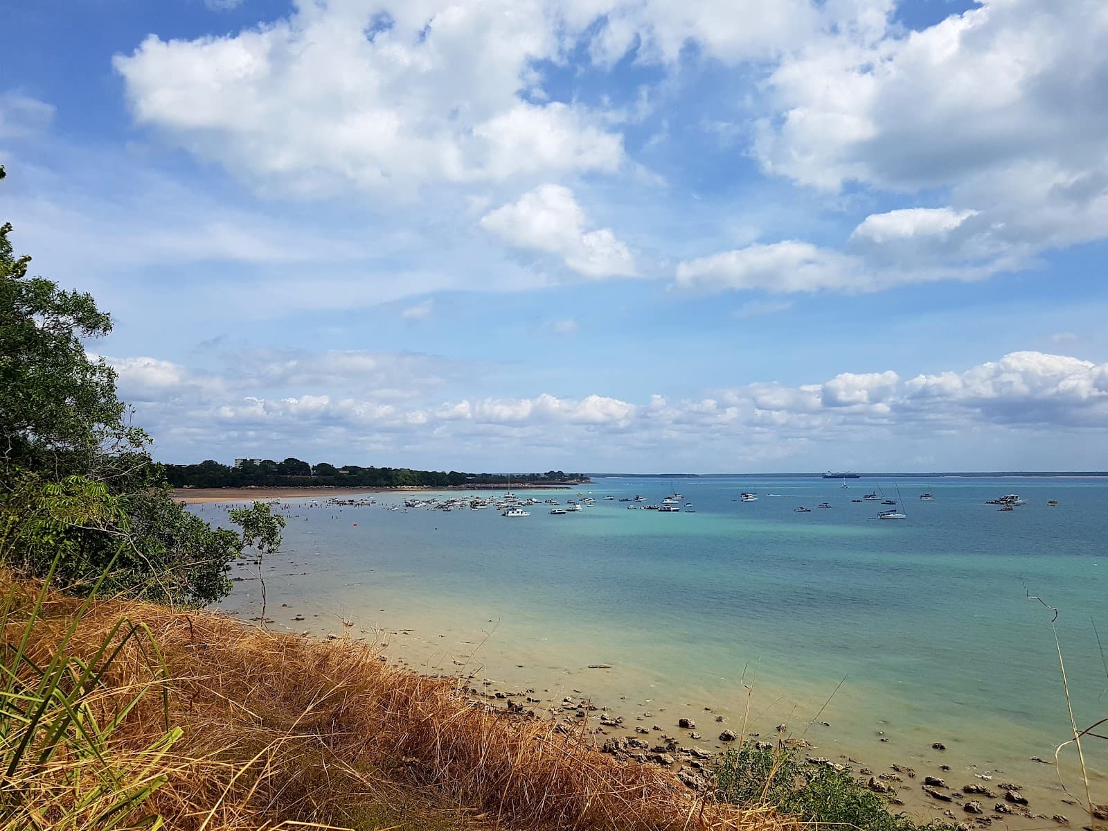 Darwin Lions Beer Can Regatta Assoc Inc. — Mindil Beach, Darwin