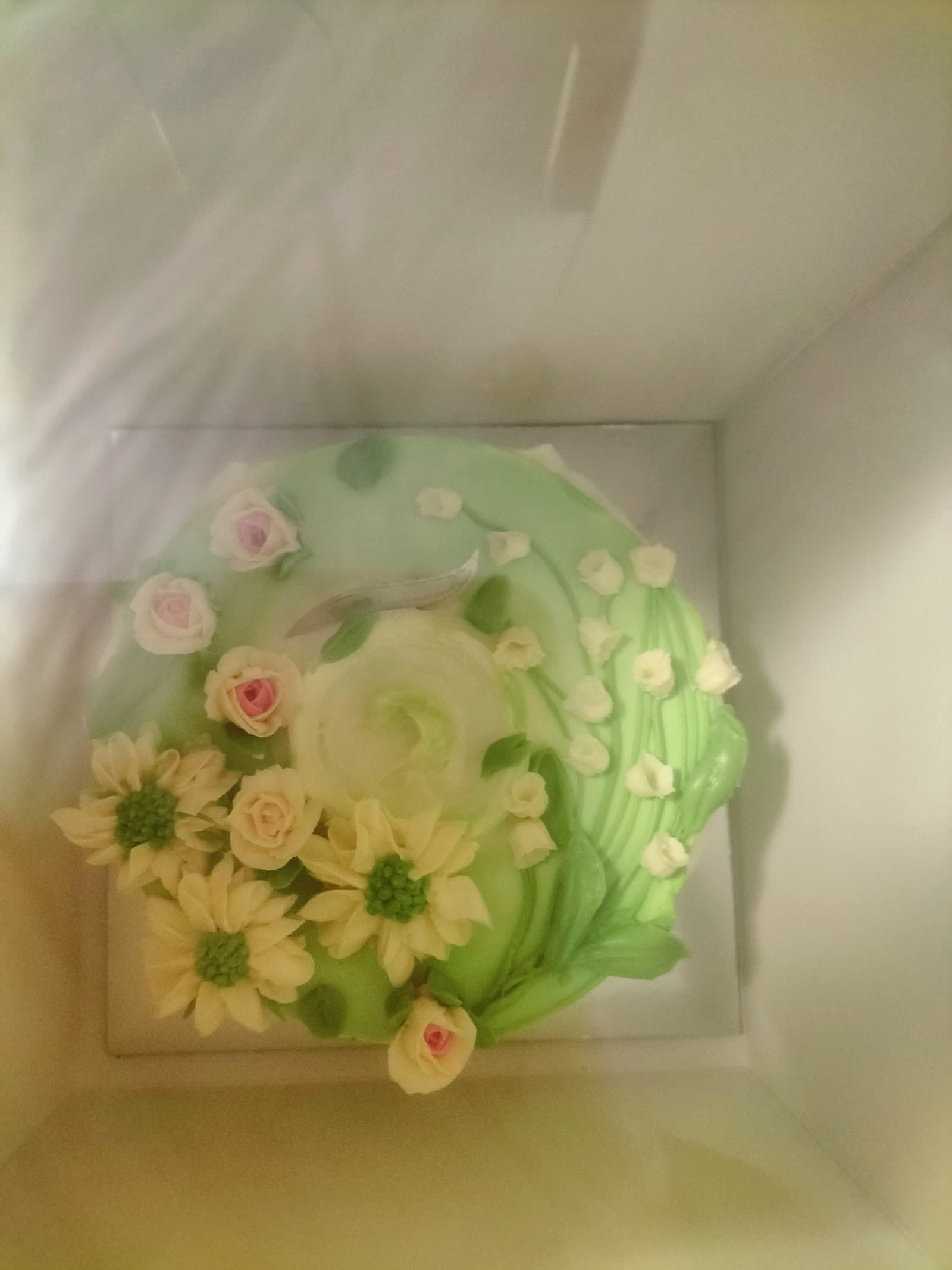 Jena Cake — Mindil Beach, Darwin
