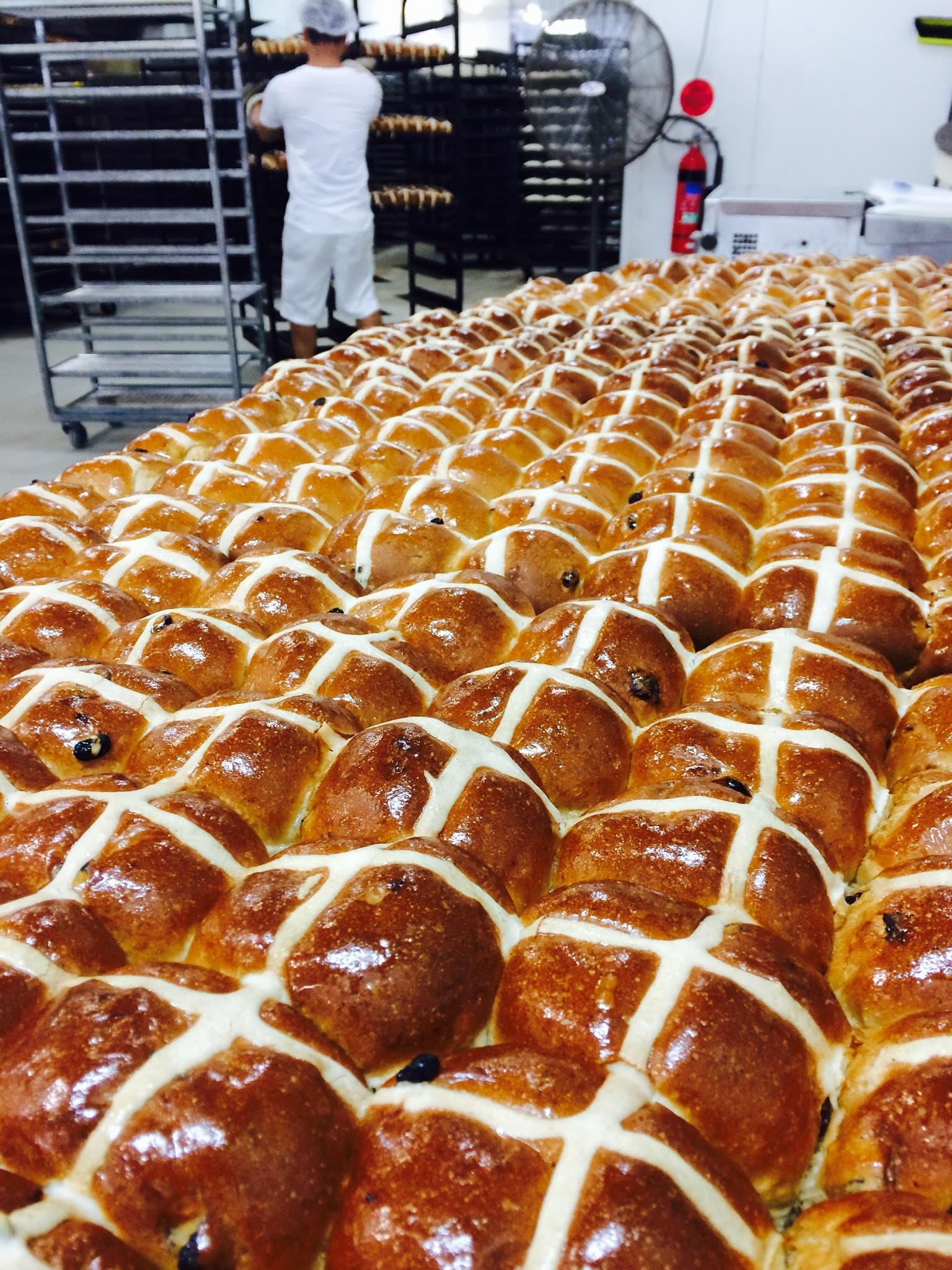 Palmerston Bakery — Palmerston, Darwin