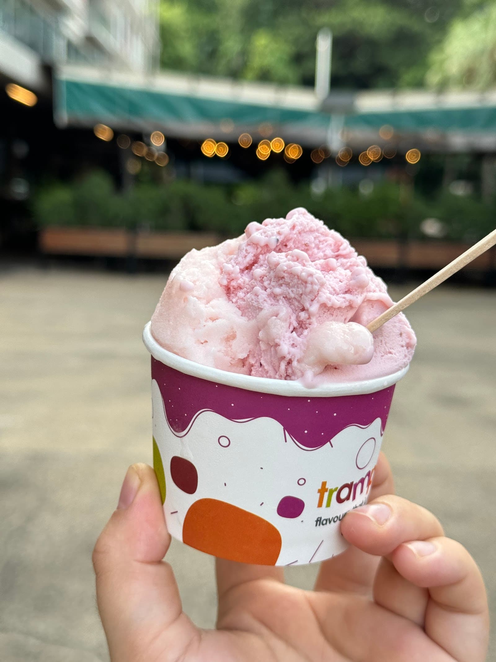 Trampoline Gelato — Waterfront, Darwin