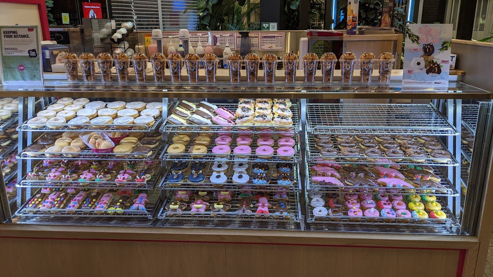 Donut King — Casuarina, Darwin