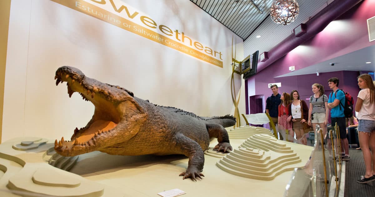Museum and Art Gallery of the Northern Territory — Mindil Beach, Darwin