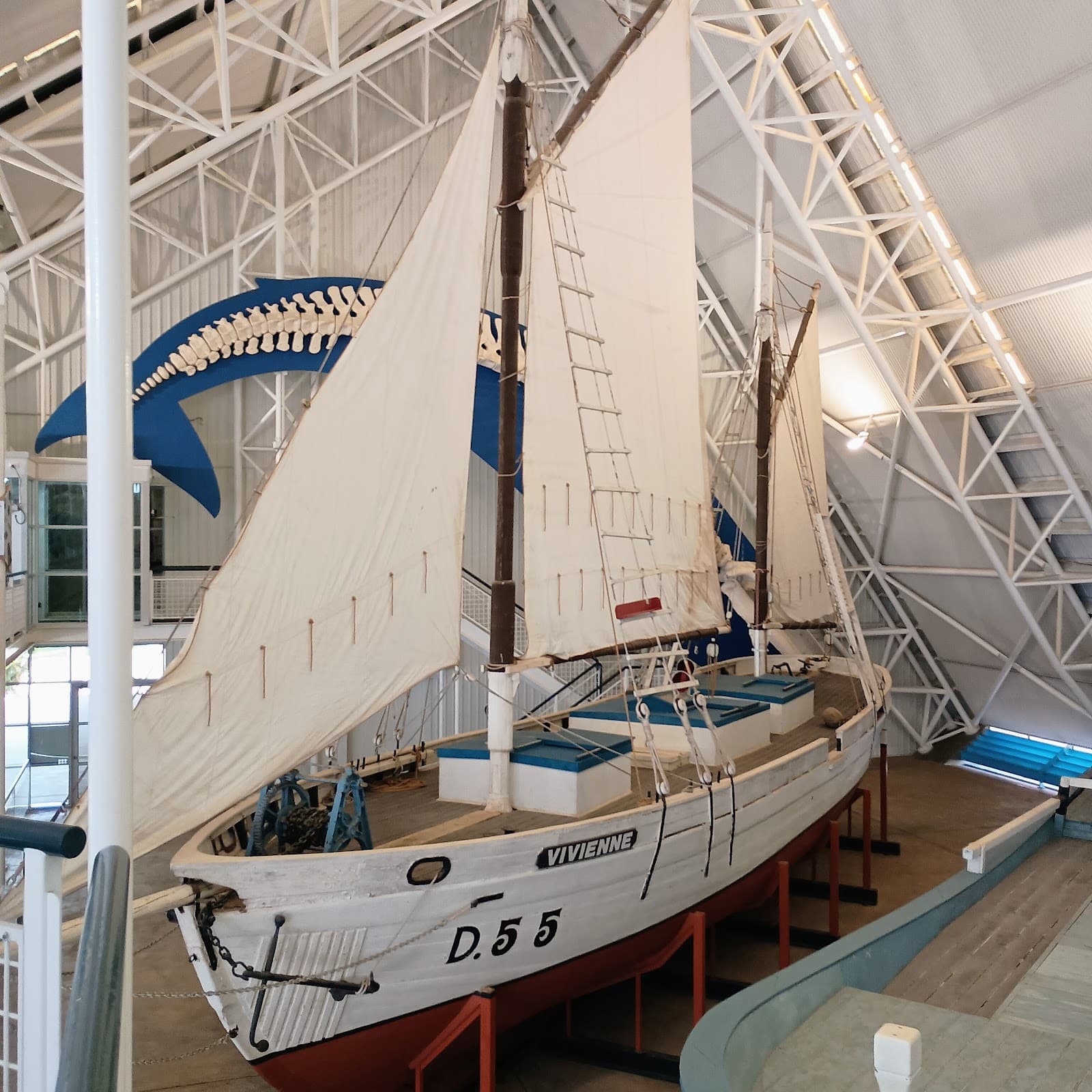 Museum and Art Gallery of the Northern Territory — Mindil Beach, Darwin