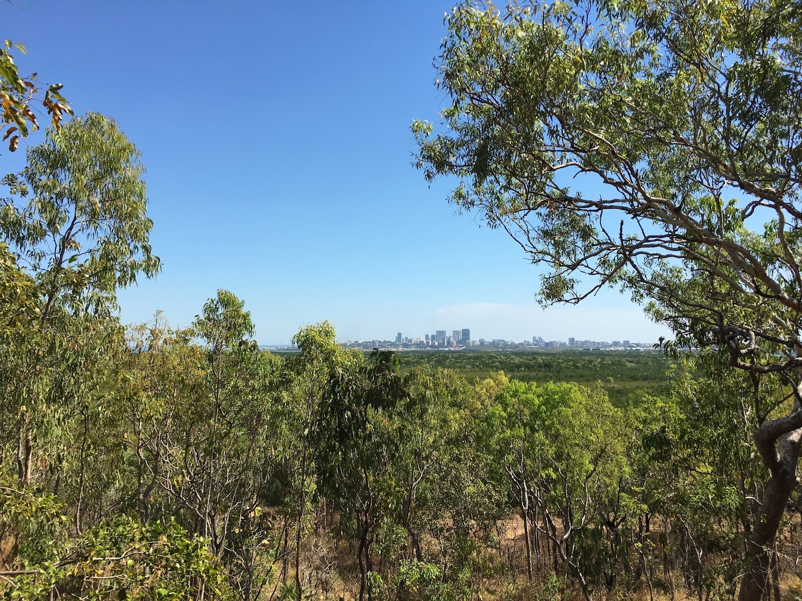 Charles Darwin Lookout — Casuarina, Darwin