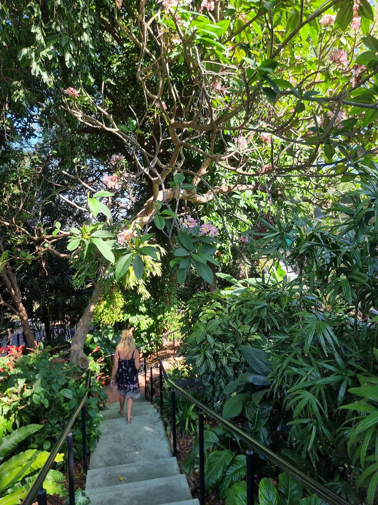 Government House — Darwin City, Darwin