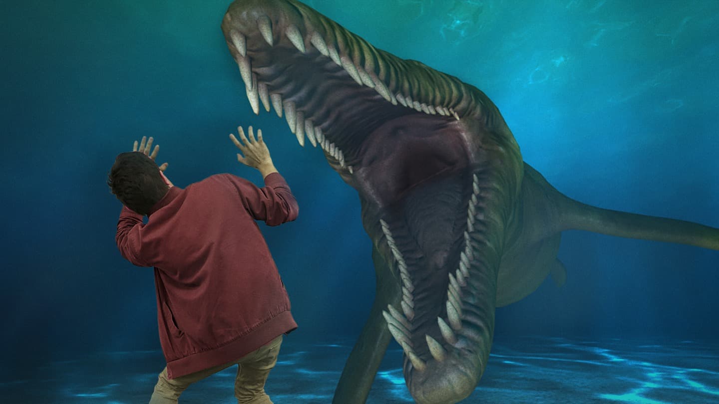 HologramZoo & Holosports Darwin — Palmerston, Darwin