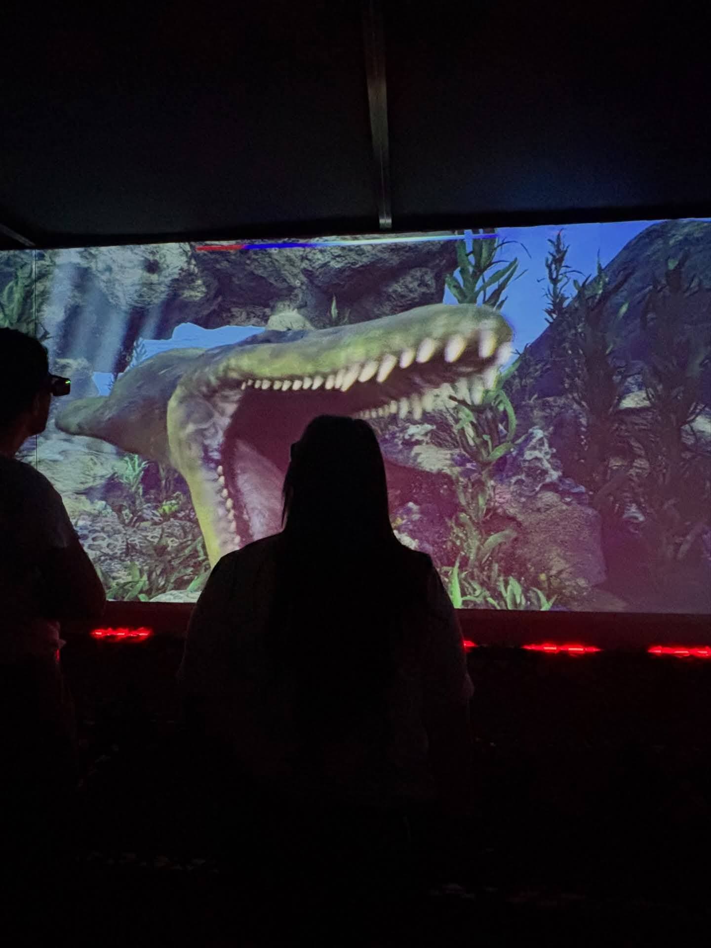 HologramZoo & Holosports Darwin — Palmerston, Darwin