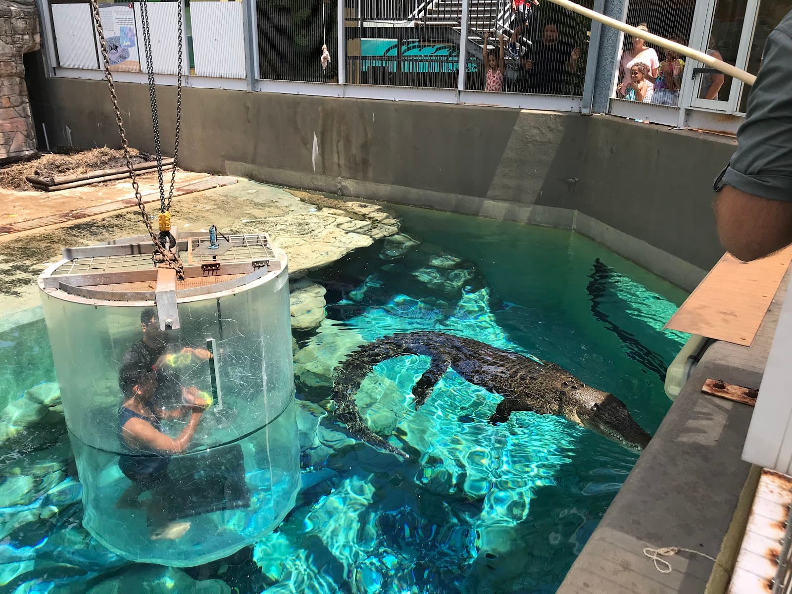 Crocosaurus Cove — Mindil Beach, Darwin