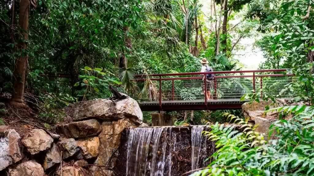 George Brown Darwin Botanic Gardens — Fannie Bay, Darwin