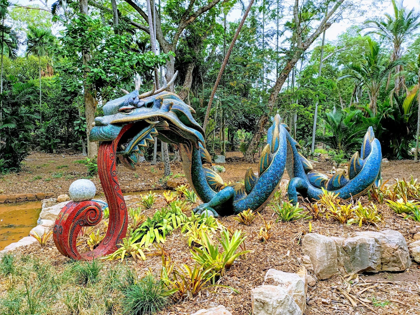 George Brown Darwin Botanic Gardens — Fannie Bay, Darwin