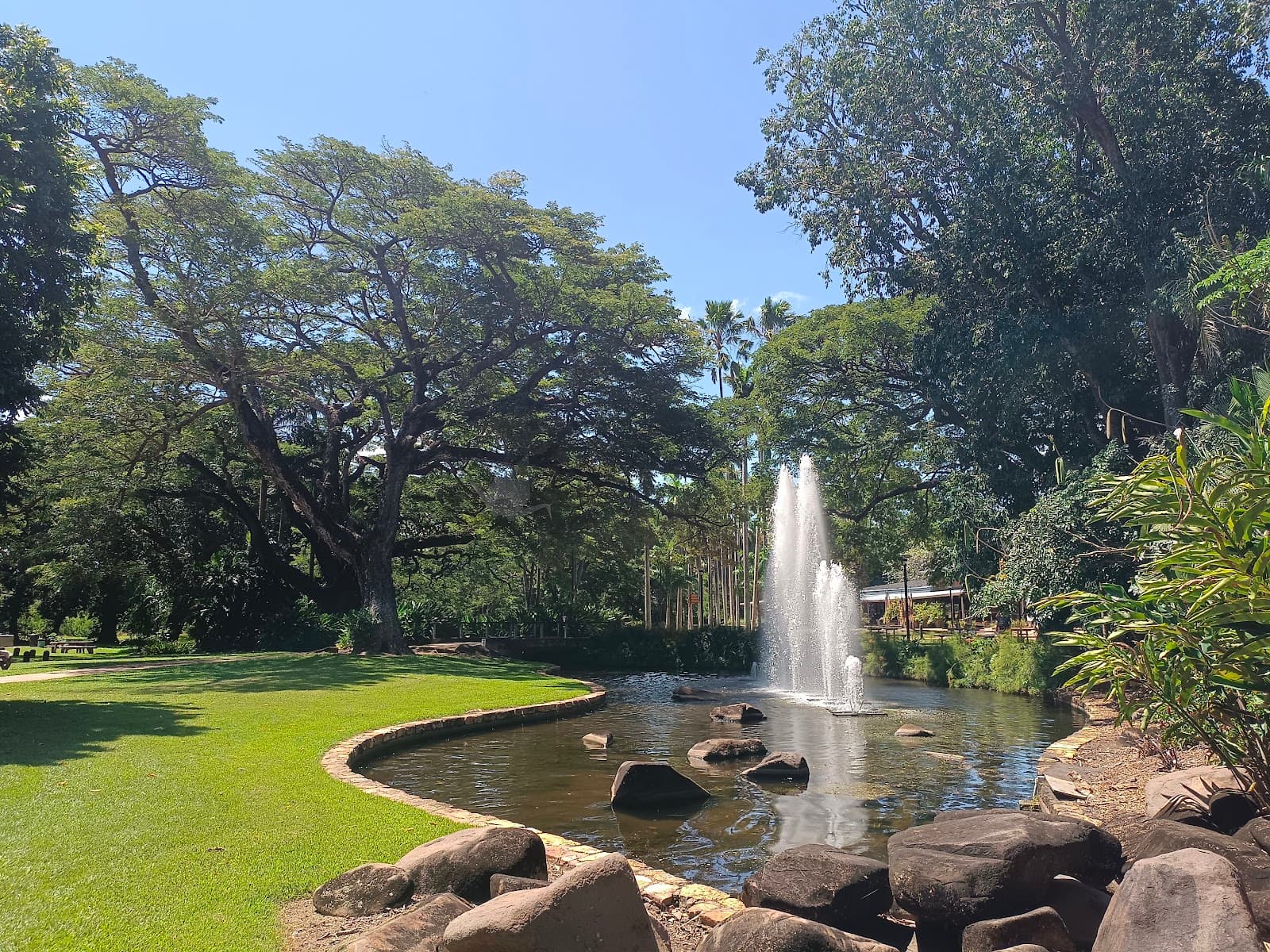 George Brown Darwin Botanic Gardens — Fannie Bay, Darwin