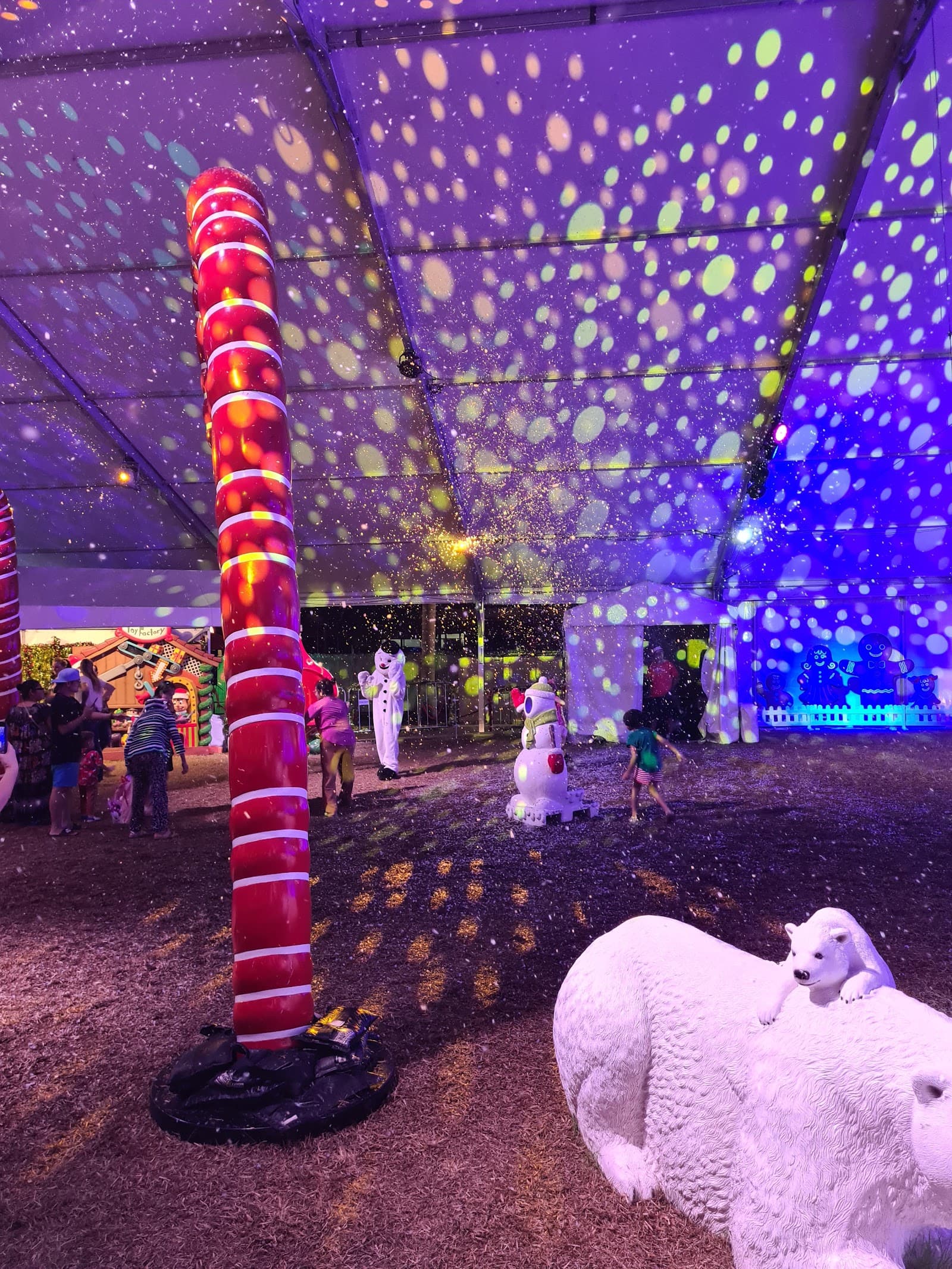 Goyder Square — Palmerston, Darwin