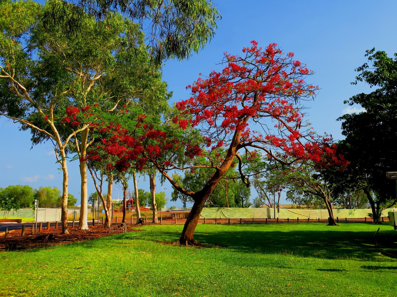 Jervois Park — Cullen Bay, Darwin