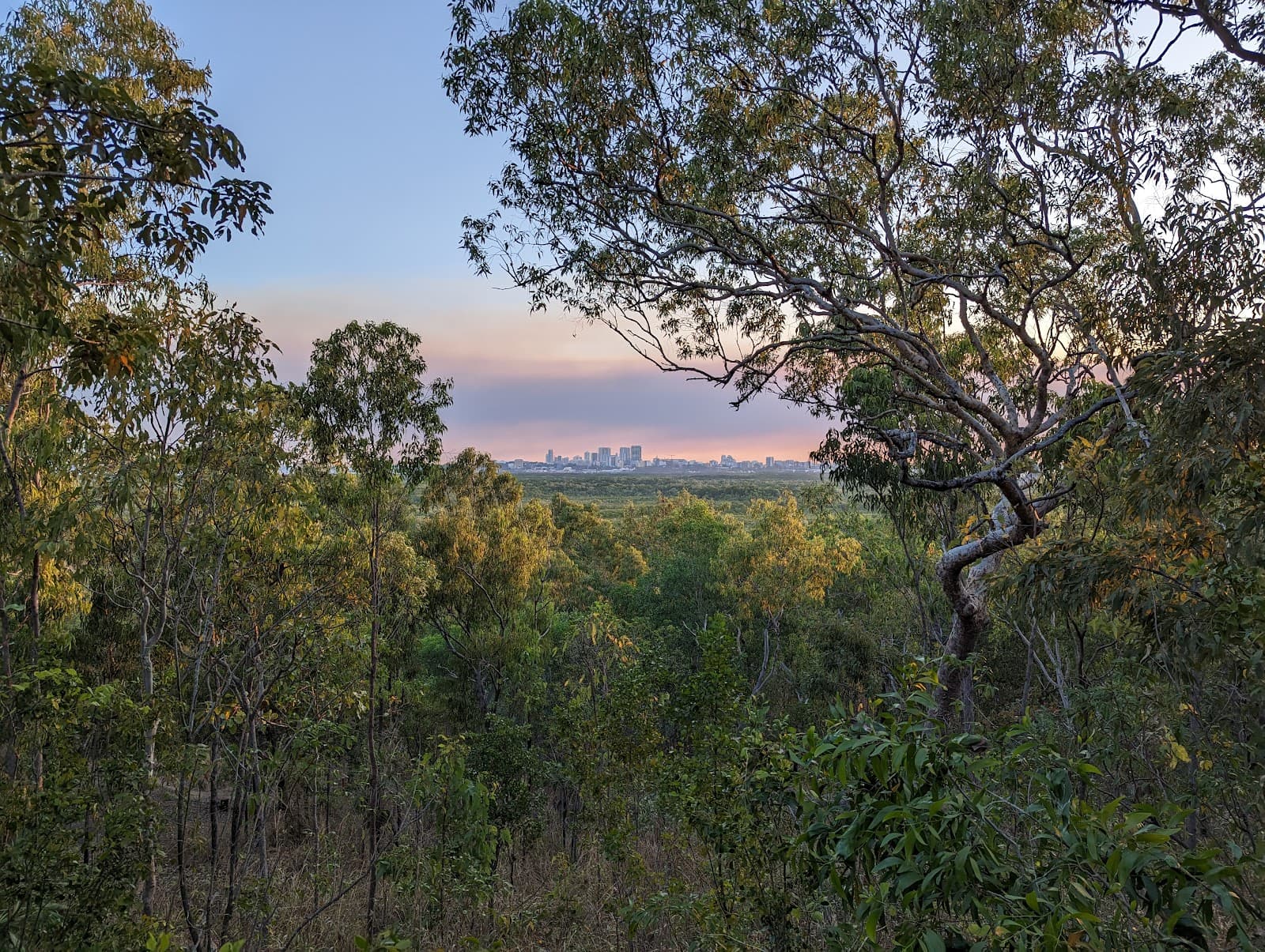 Charles Darwin National Park — Casuarina, Darwin