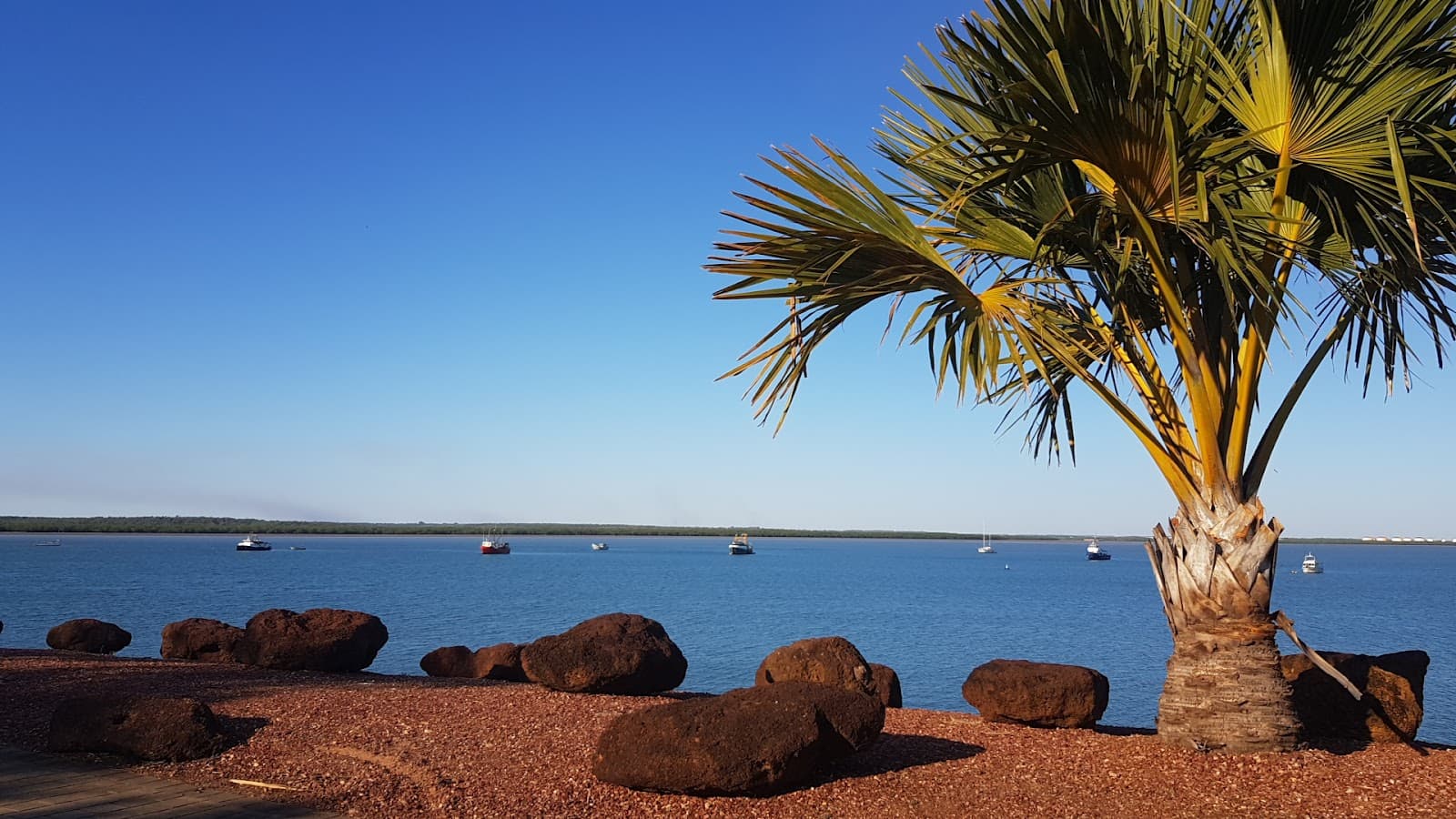 Coastal Marine Park — Waterfront, Darwin