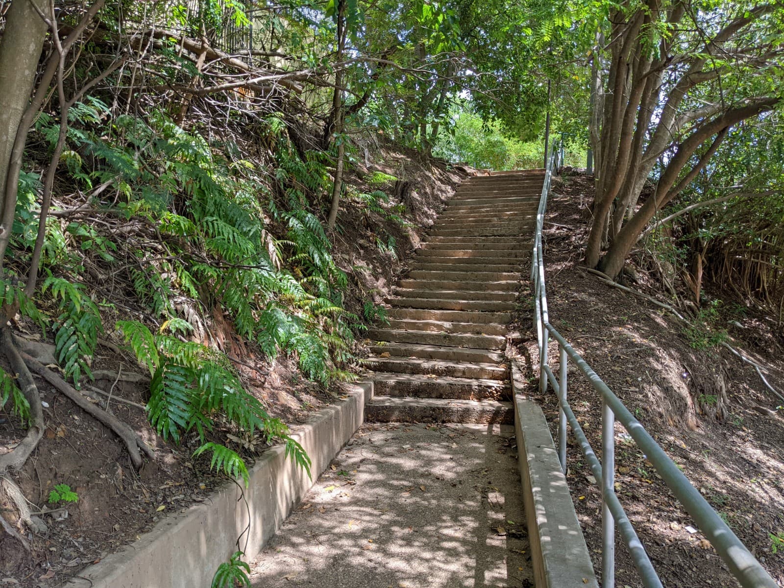 Travellers Walk — Palmerston, Darwin