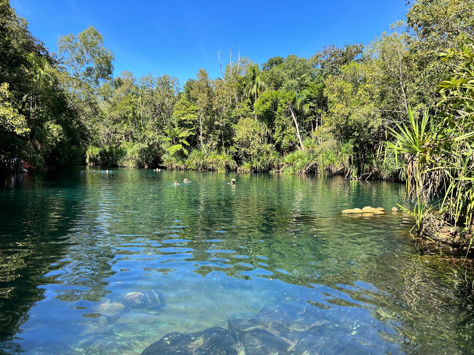 Berry Springs Nature Park — Darwin CBD, Darwin