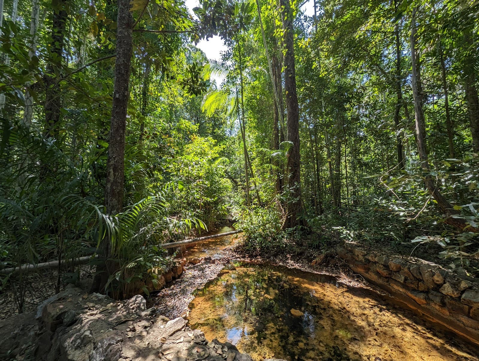 Howard Springs Nature Park — Palmerston, Darwin