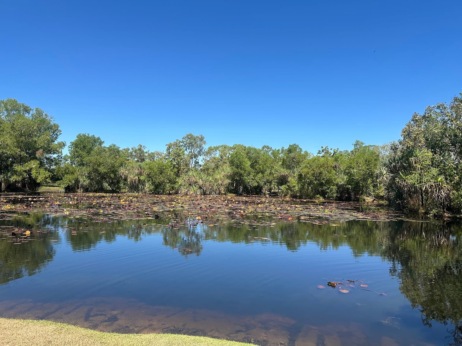 Sanctuary Lakes Park — Palmerston, Darwin