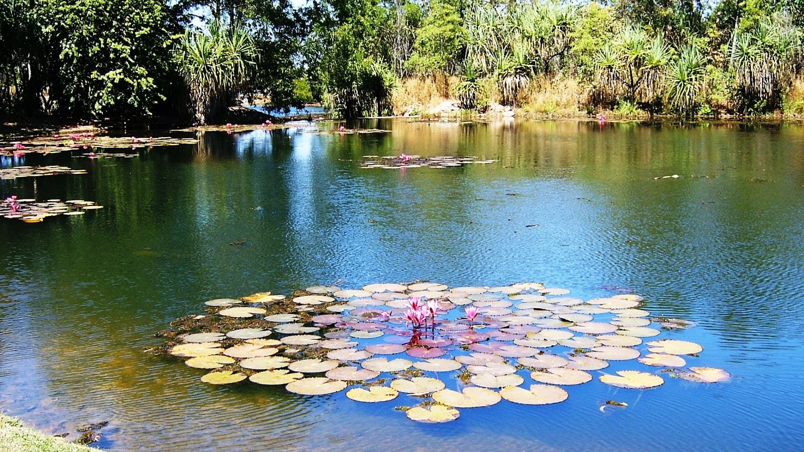 Sanctuary Lakes Park — Palmerston, Darwin