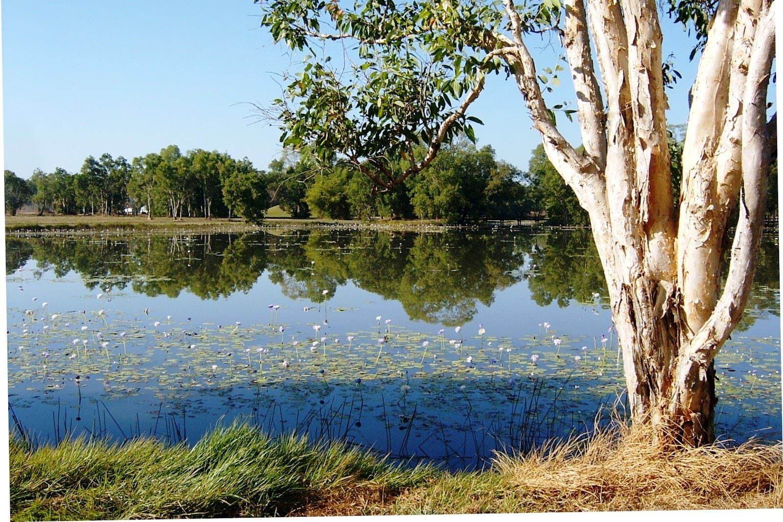 Marlow Lagoon Recreation Area — Palmerston, Darwin