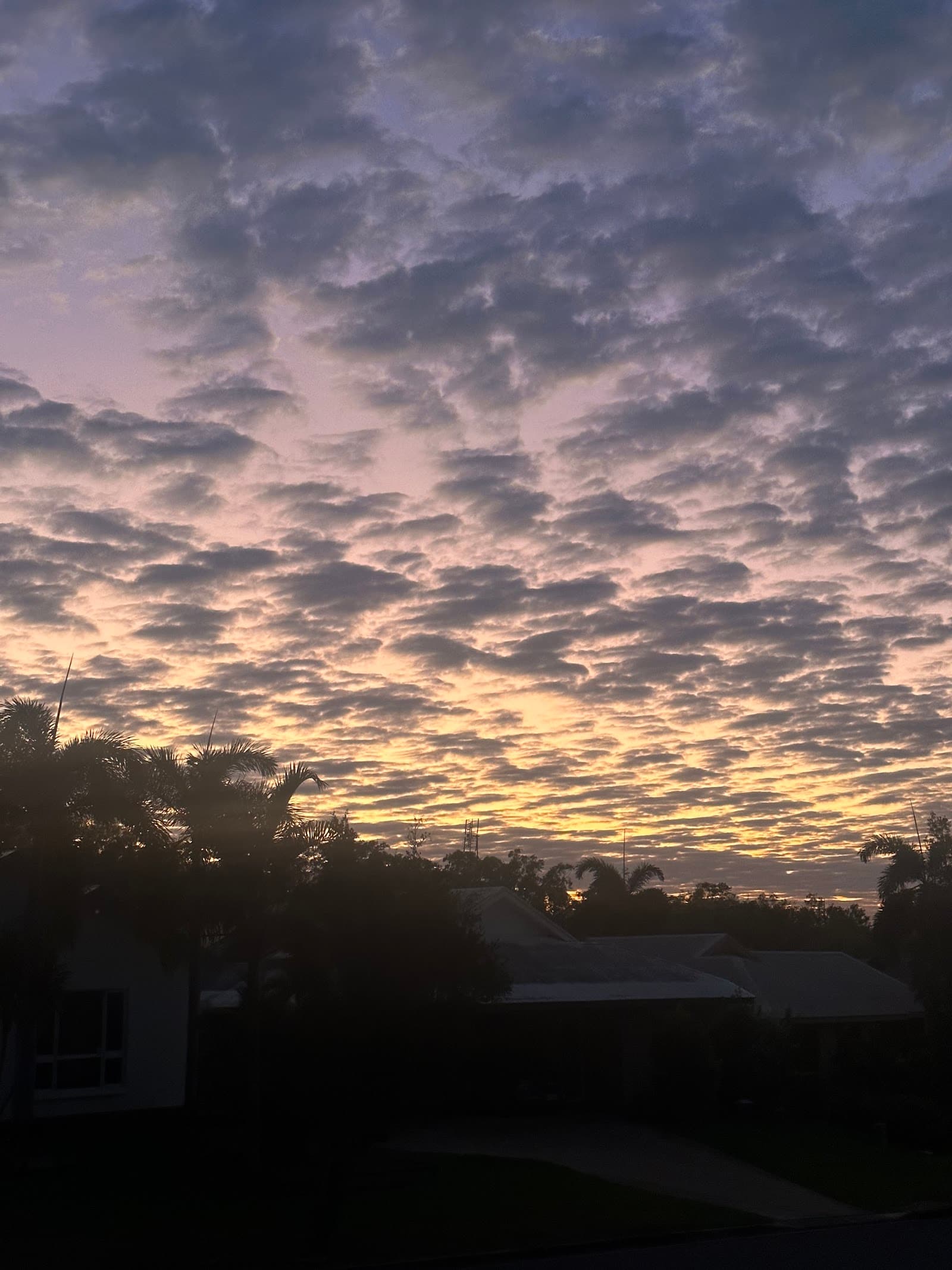 Reggies Park — Palmerston, Darwin