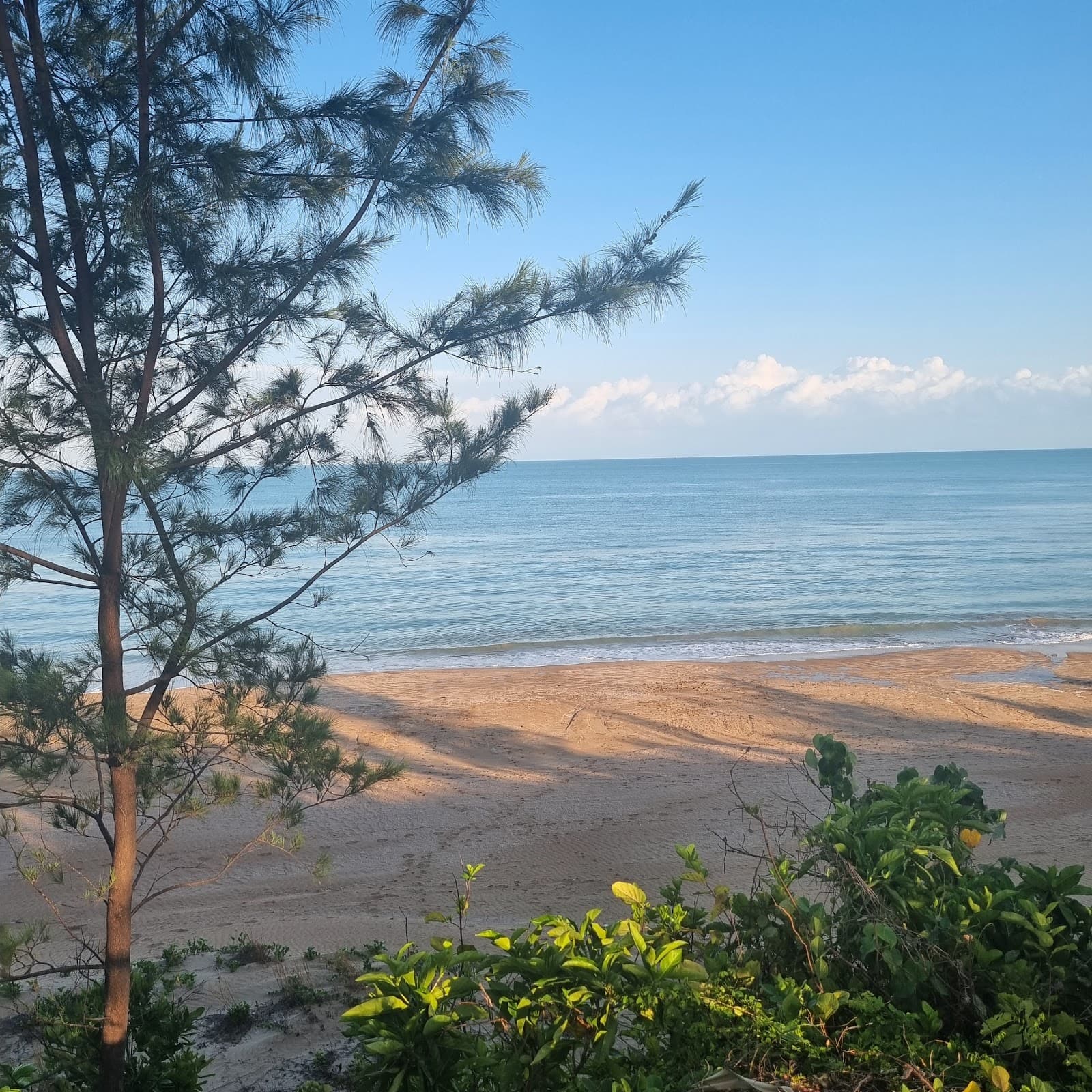 Casuarina Beach Dog Park — Casuarina, Darwin