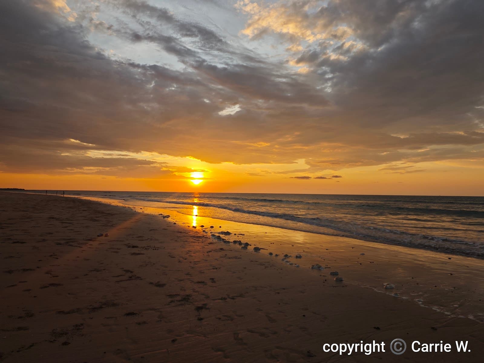 Casuarina Beach Dog Park — Casuarina, Darwin