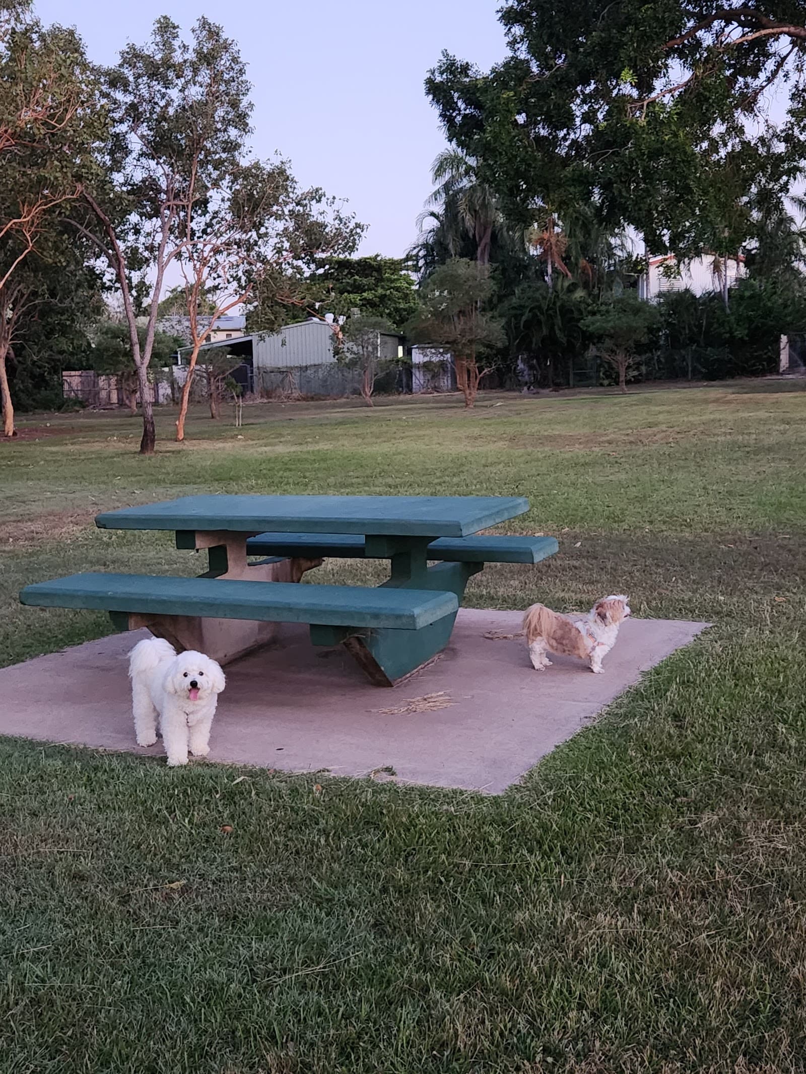 Peace Park — Casuarina, Darwin