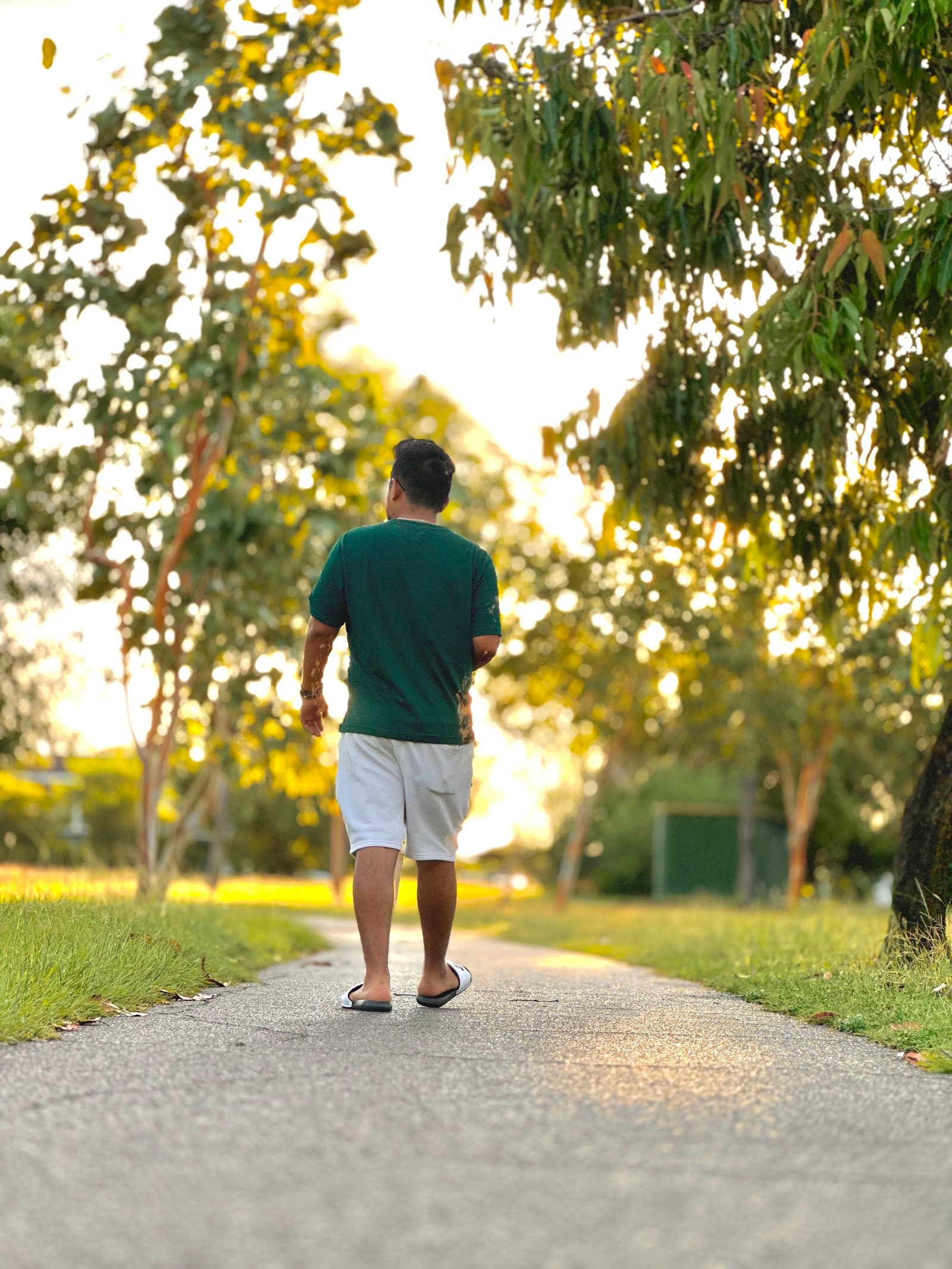 Peace Park — Casuarina, Darwin