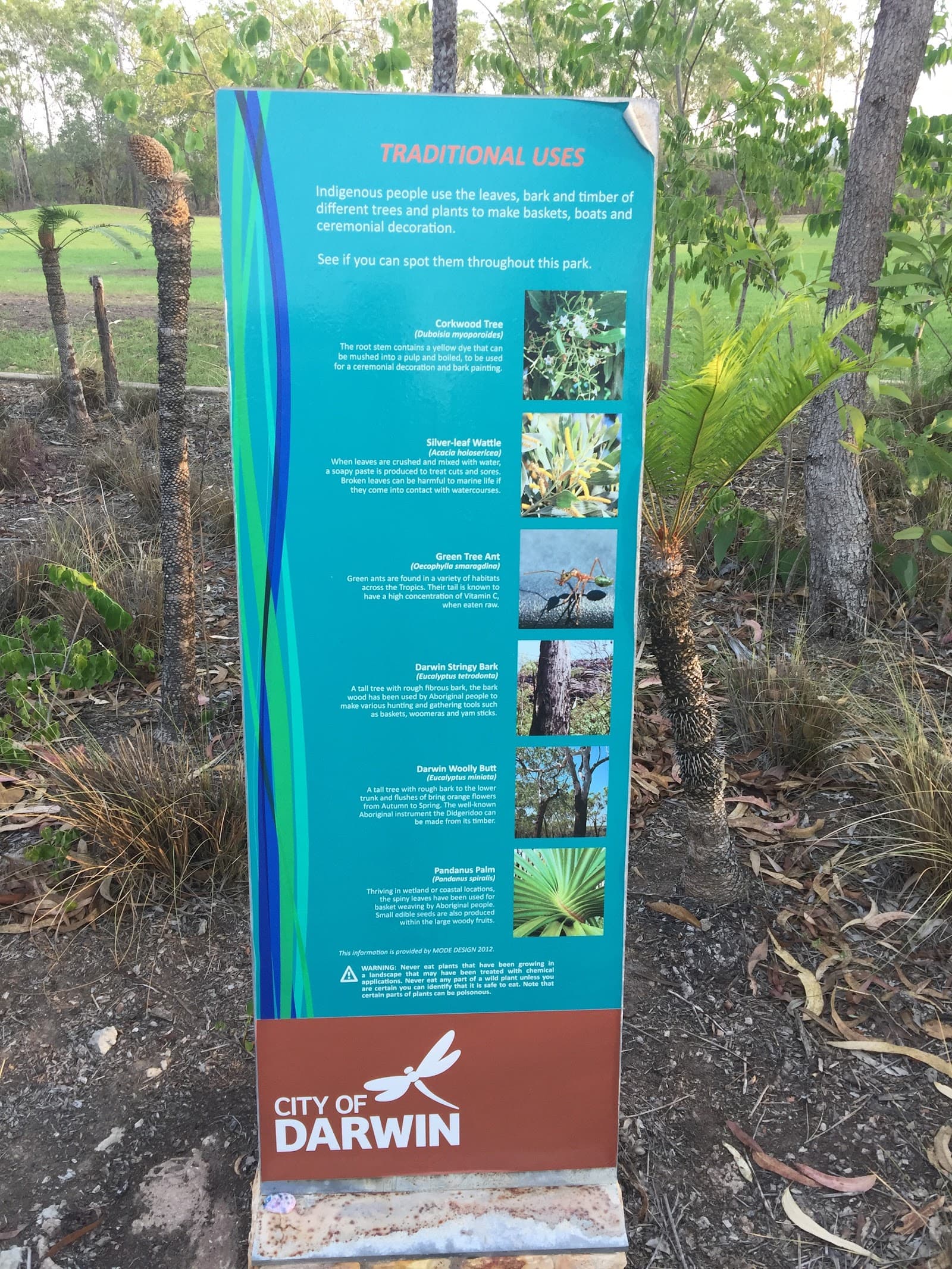 William Forster Park — Casuarina, Darwin