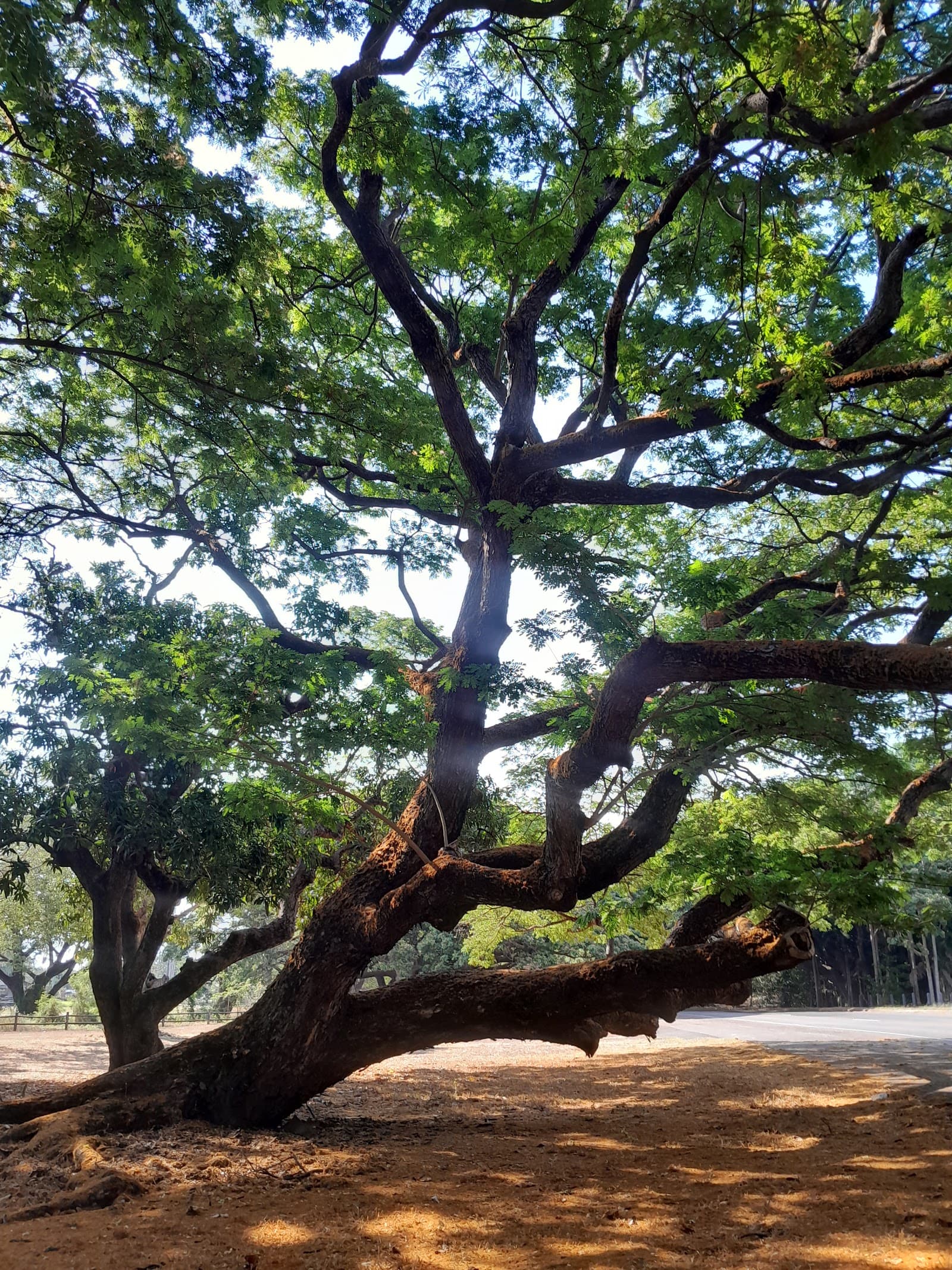 Bundilla Beach — Fannie Bay, Darwin