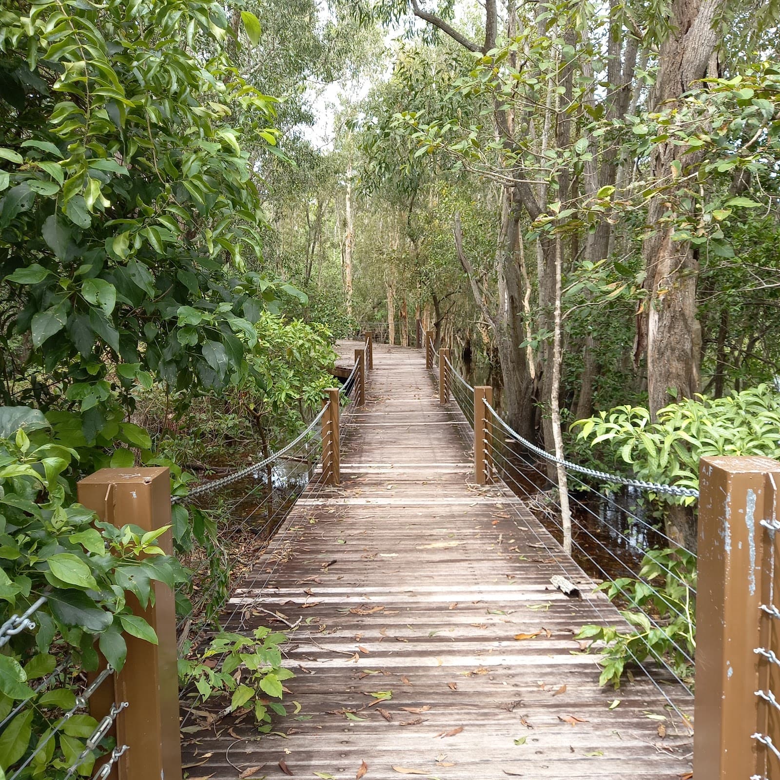 Manton Dam Recreation Area — Palmerston, Darwin