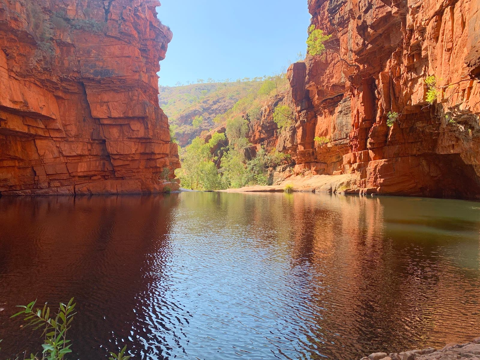 Notraces Bushwalking Australia — Larrakeyah, Darwin