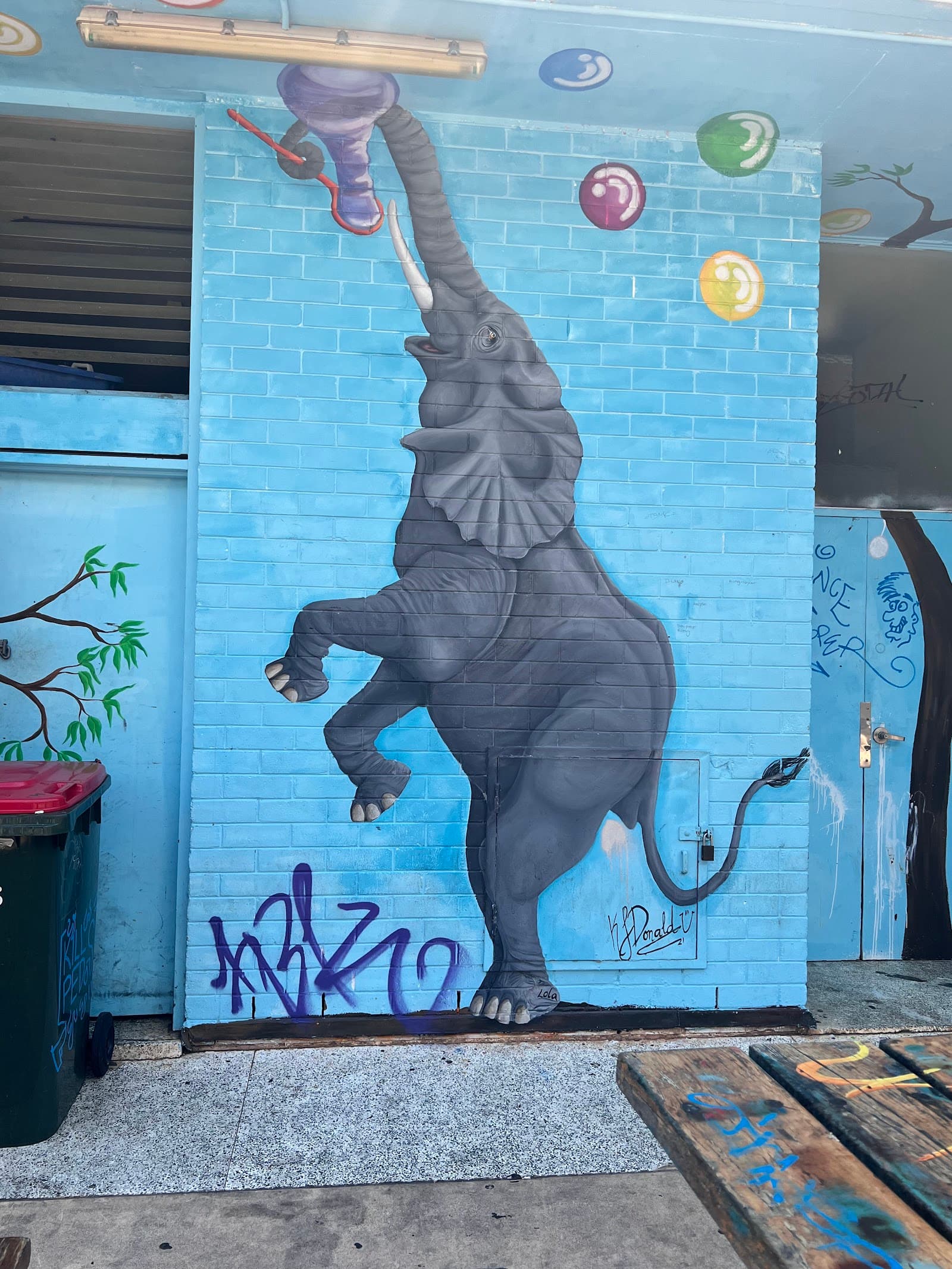 Austin Lane — Darwin CBD, Darwin