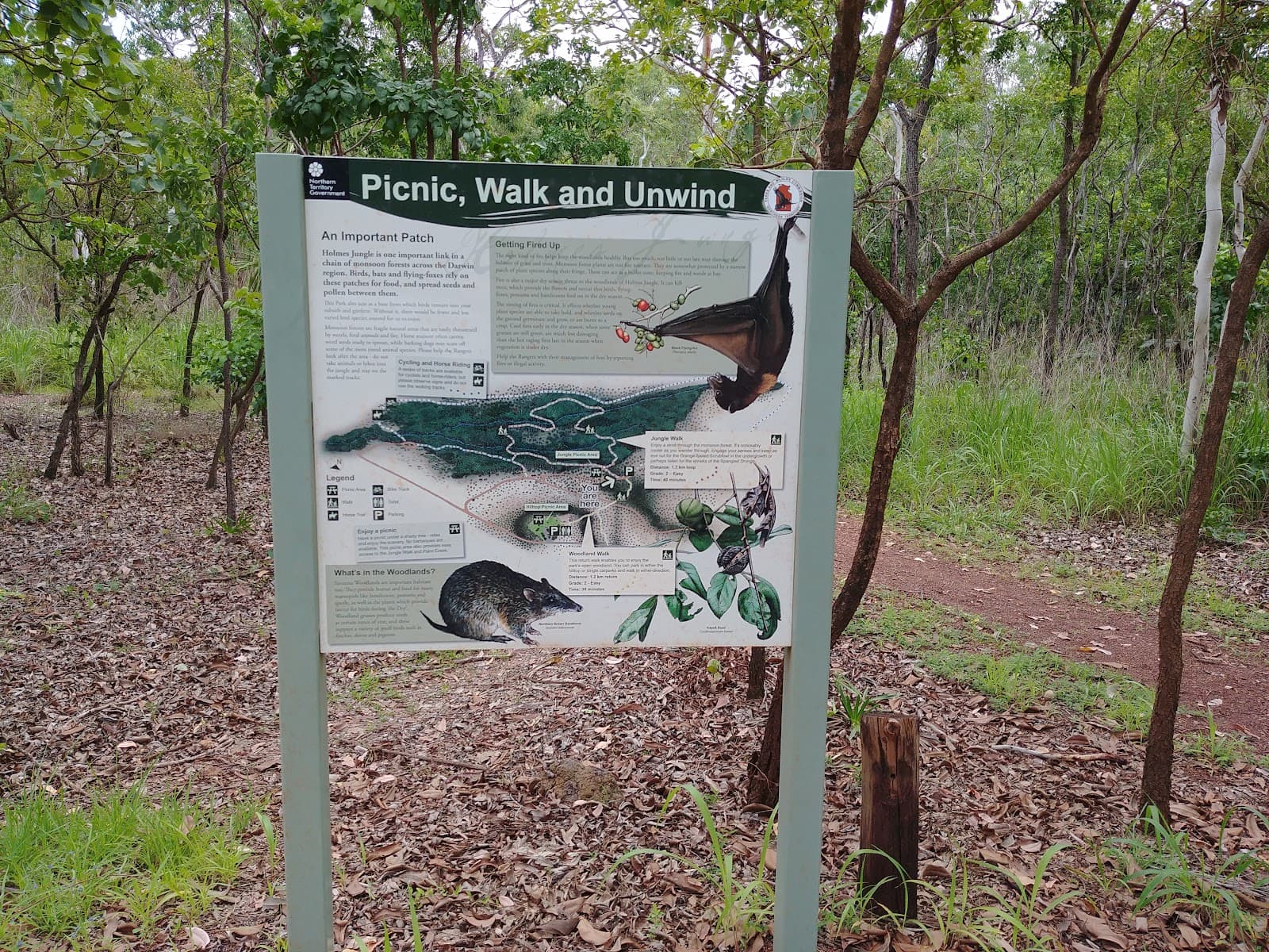 Holmes Jungle Nature Park — Mindil Beach, Darwin
