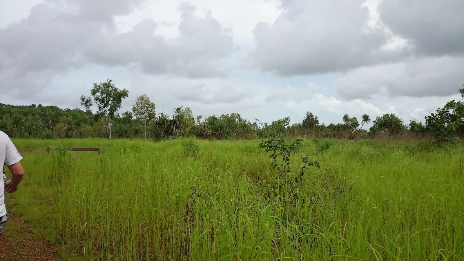 Holmes Jungle Nature Park — Mindil Beach, Darwin