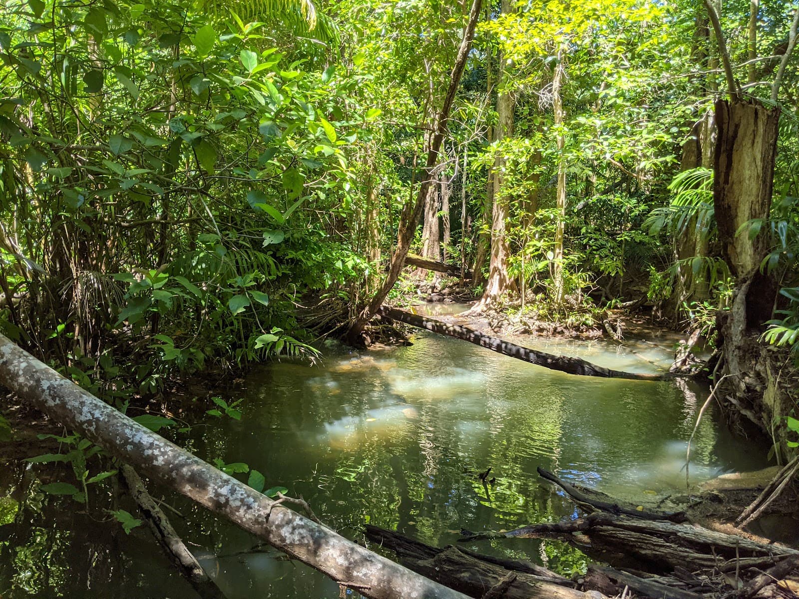 Holmes Jungle Nature Park — Mindil Beach, Darwin