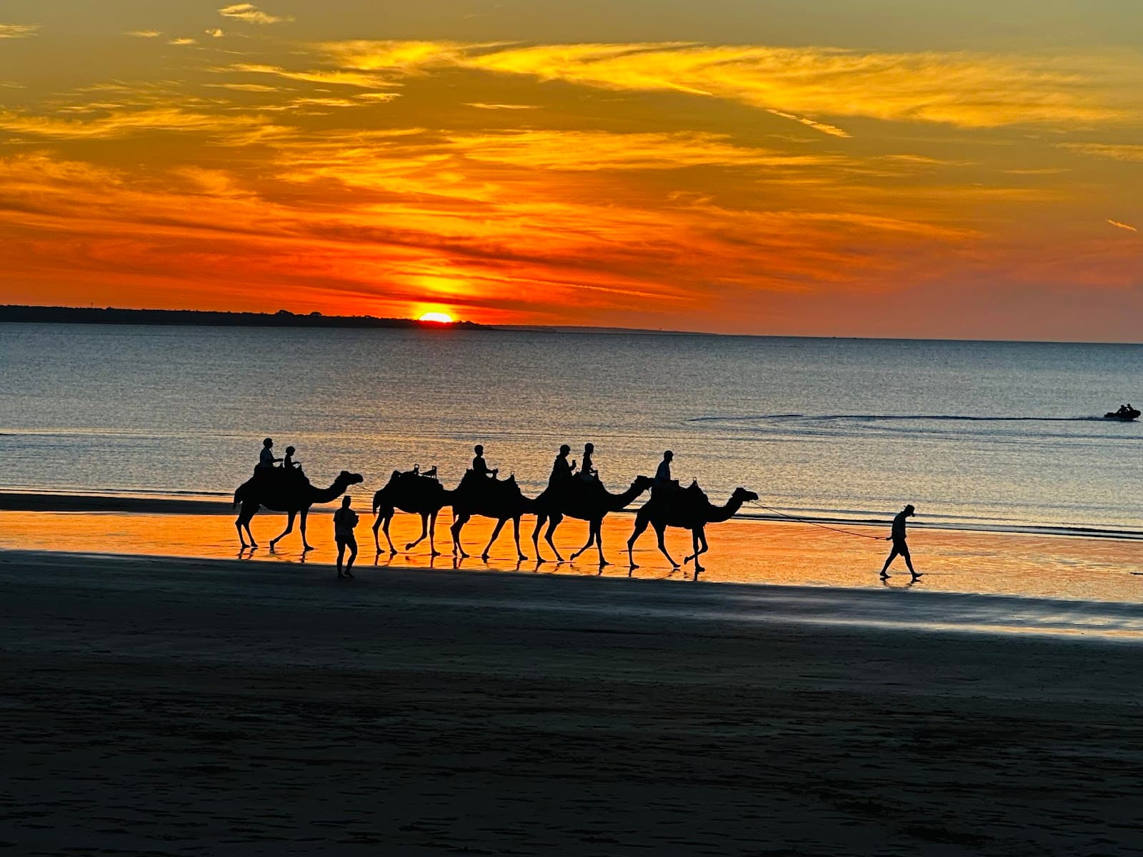 Darwin Camel Rides — Mindil Beach, Darwin