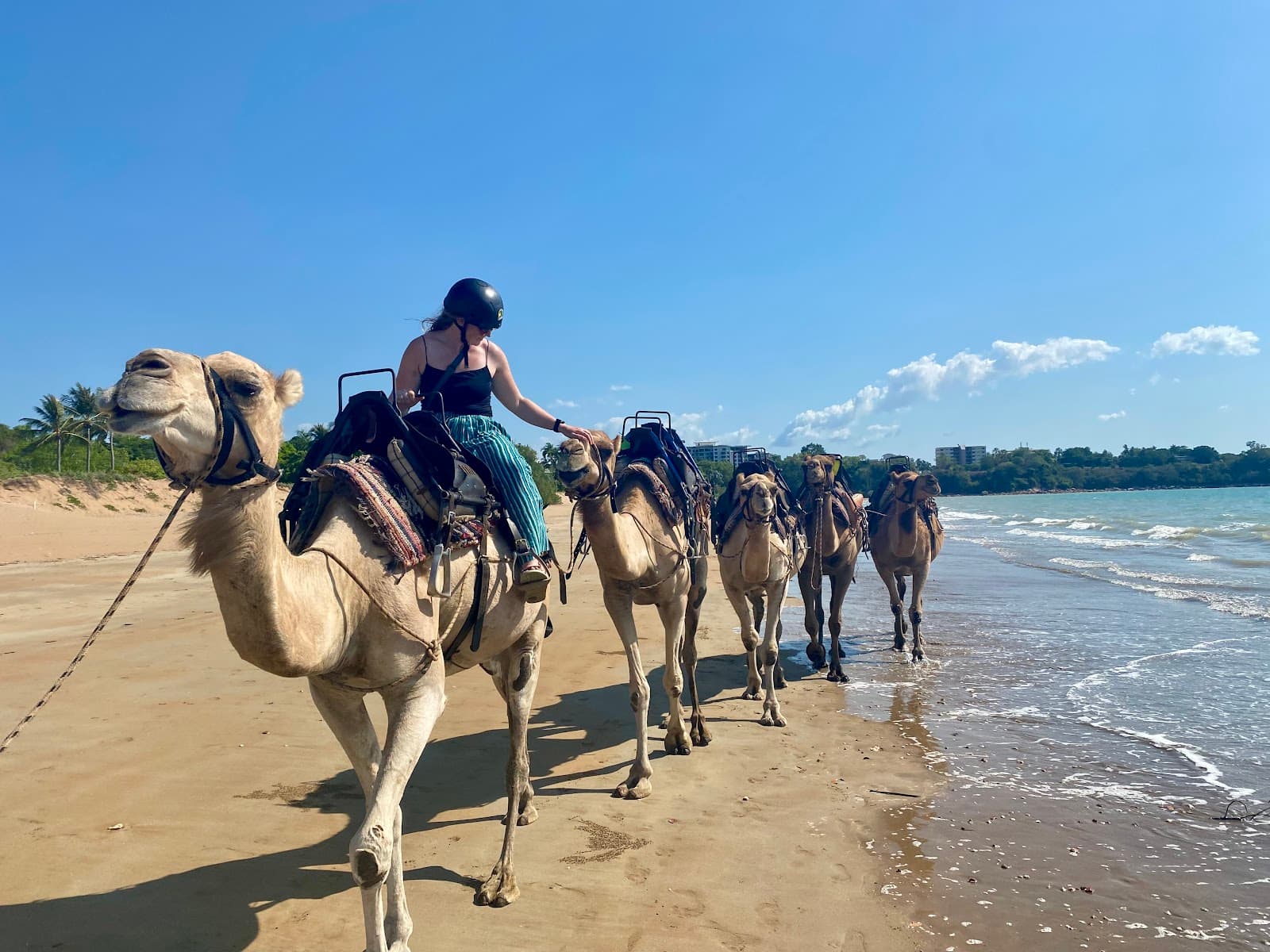 Darwin Camel Rides — Mindil Beach, Darwin