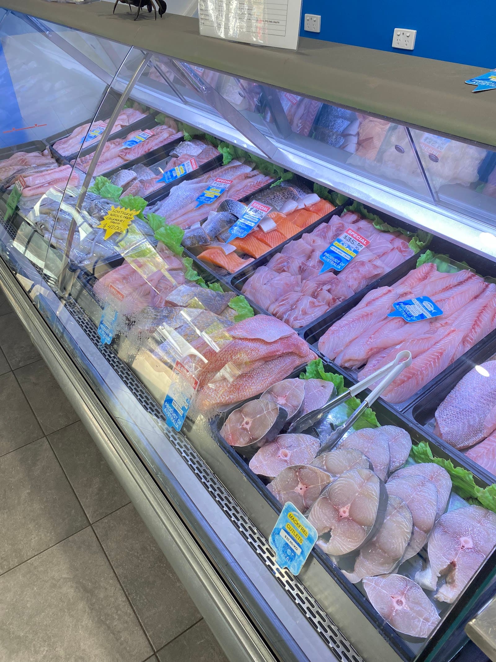 Darwin Fish Market — Fannie Bay, Darwin