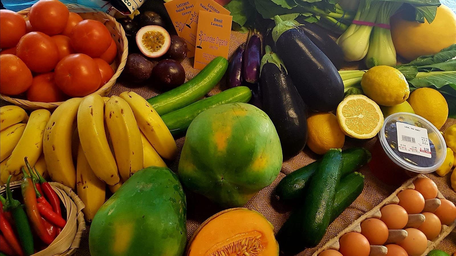 Greenies Real Food — Rapid Creek, Darwin