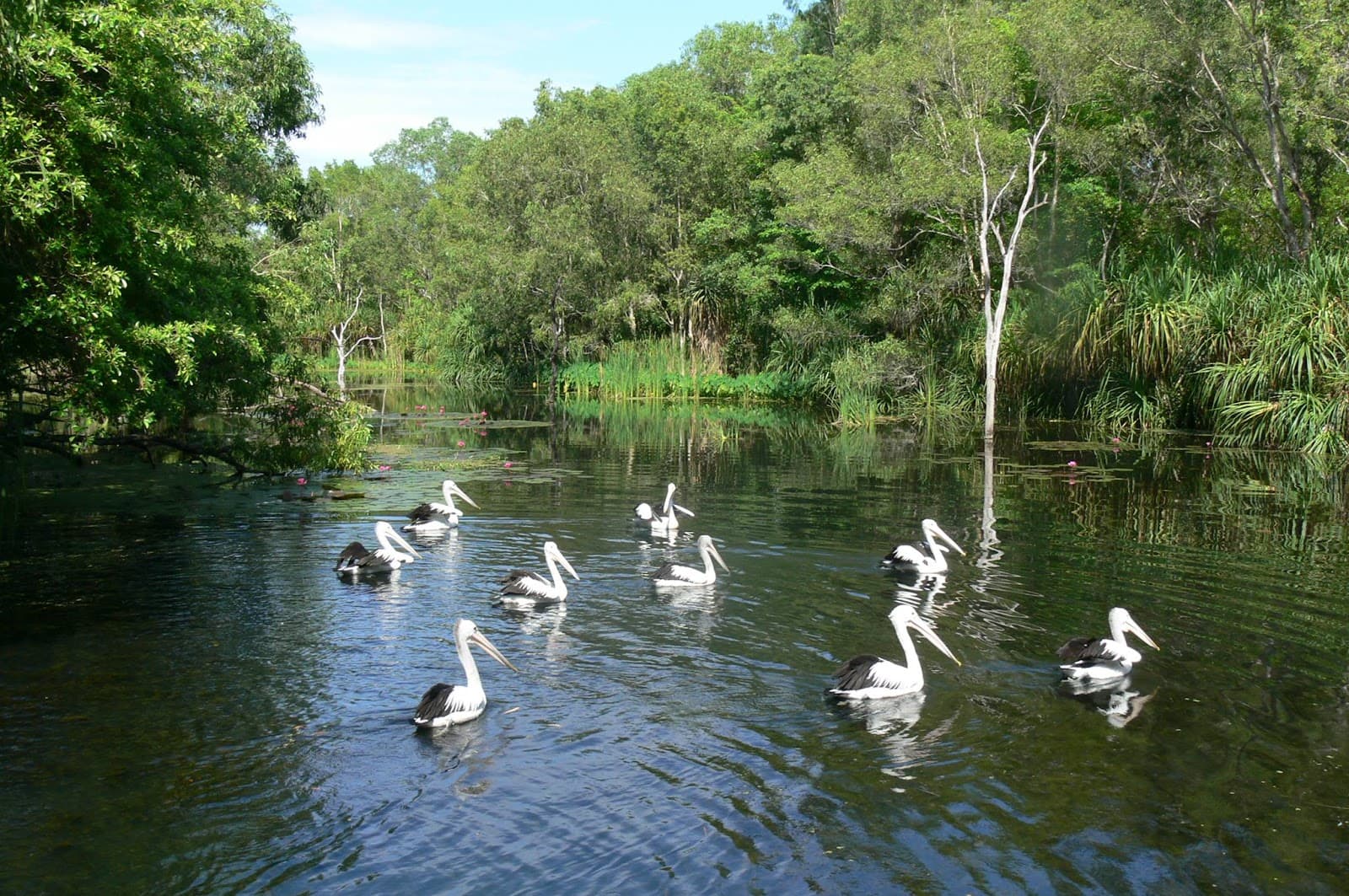 Territory Wildlife Park — Darwin CBD, Darwin
